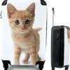 MuchoWow® Koffer - Kat - Rood - Kitten - Meisjes - Kinderen - Jongens - Kindje - Past Binnen 55x40x20 Cm En 55x35x25 Cm - Handbagage - Trolley - Fotokoffer - Cabin Size - Print 2 MuchoWow® Koffer - Kat - Rood - Kitten - Meisjes - Kinderen - Jongens - Kindje - Past Binnen 55x40x20 Cm En 55x35x25 Cm - Handbagage - Trolley - Fotokoffer - Cabin Size - Print -Bagageopslag 1145x1200 1