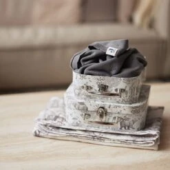 Jollein Speelkoffertje Pimpelmees - Forest Animals - 2 Stuks -Bagageopslag 1200x1200 2028