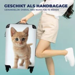 MuchoWow® Koffer - Kat - Rood - Kitten - Meisjes - Kinderen - Jongens - Kindje - Past Binnen 55x40x20 Cm En 55x35x25 Cm - Handbagage - Trolley - Fotokoffer - Cabin Size - Print -Bagageopslag 1200x1200 879