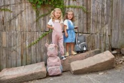 Lässig Tiny Backpack Trolley About Friends Racoon -Bagageopslag 1200x800 53